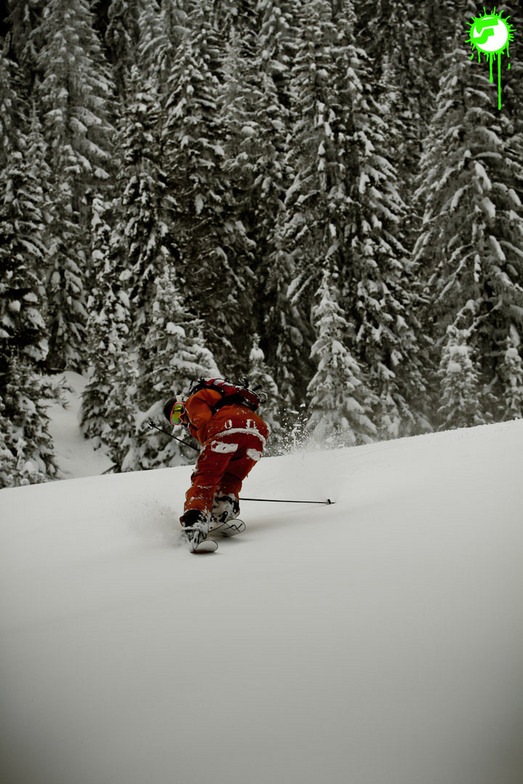 SwitchPowderRun, Hopfgarten