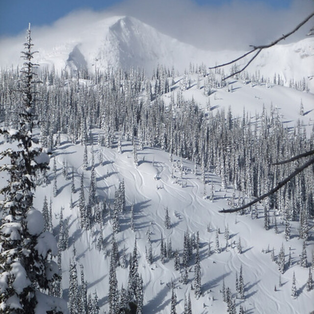 Rocking Horse, Ymir Backcountry Ski Lodge
