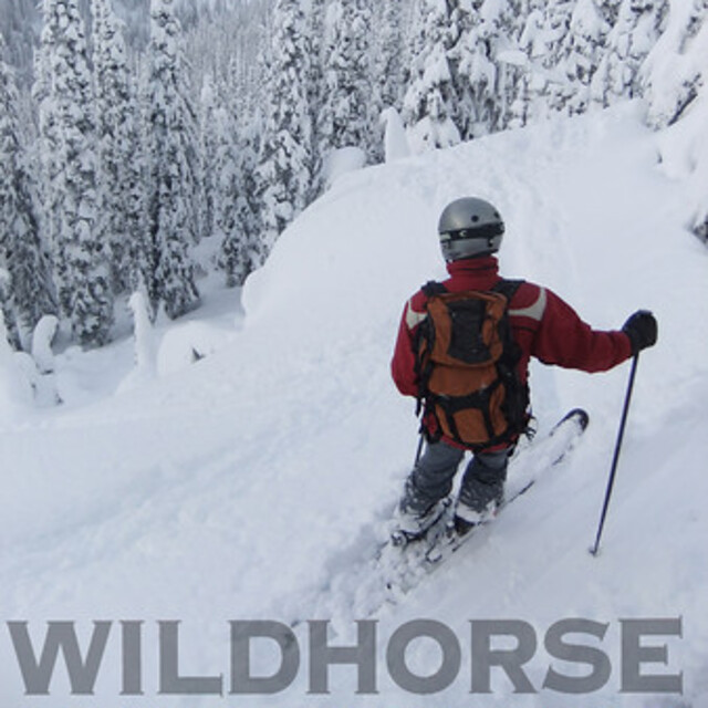 Ymir Backcountry Ski Lodge Snow: Long Baldy