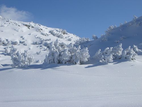 Galtur-Silvapark Ski Resort by: fish