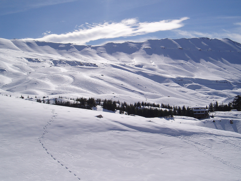 Cedars resort,lebanon.