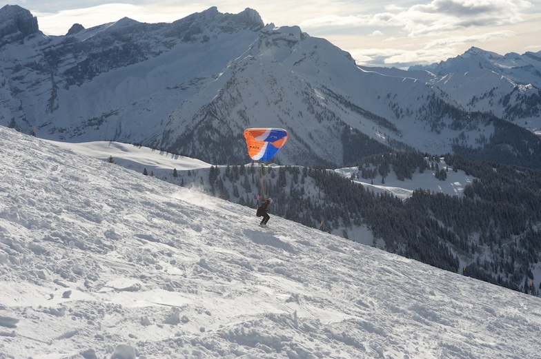Villars-Gryon Speedflyer