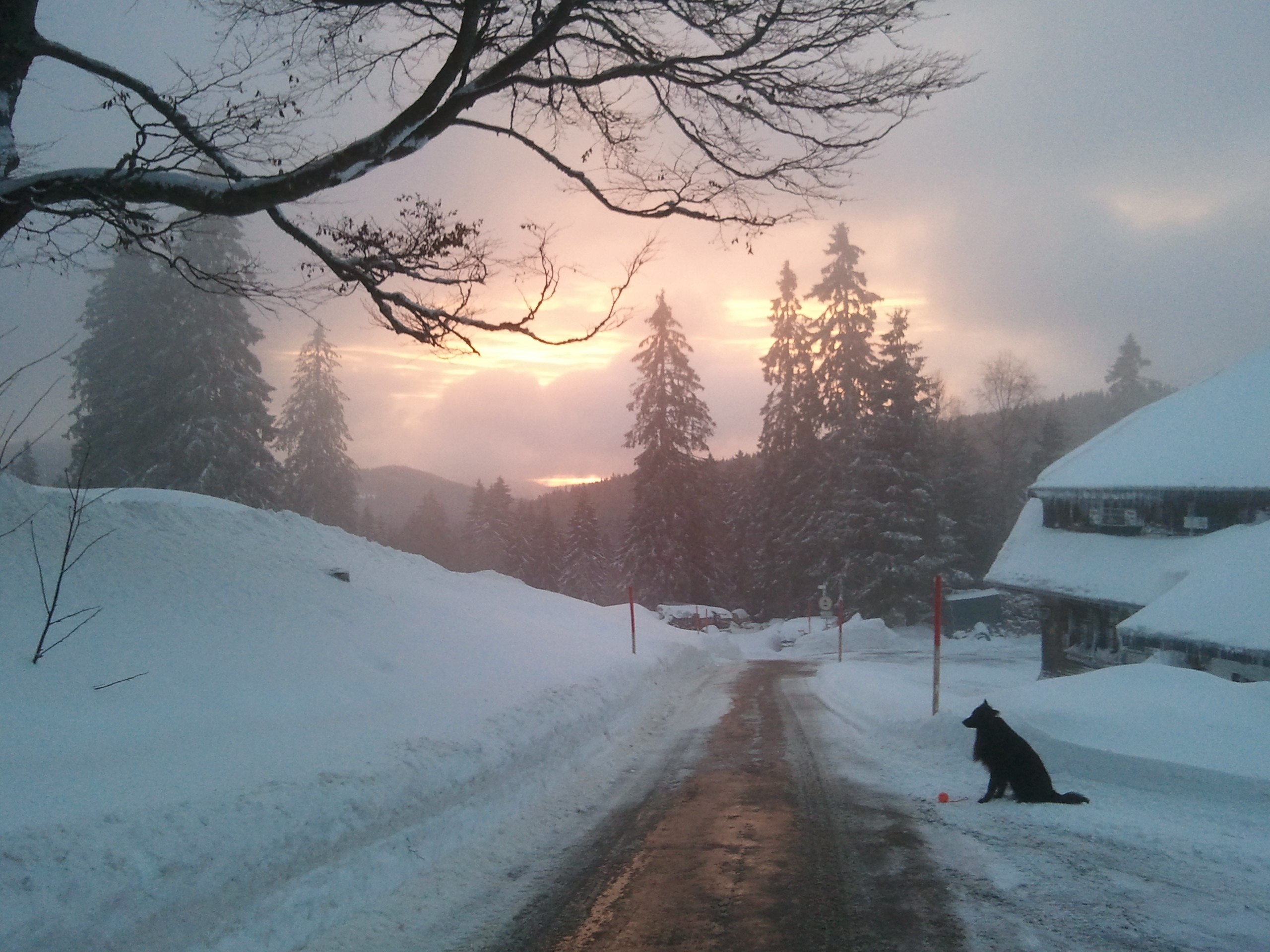 Sunrise at Feldberg