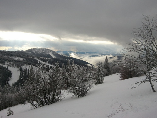 Feldberg Ski Resort by: Hans van der Valk