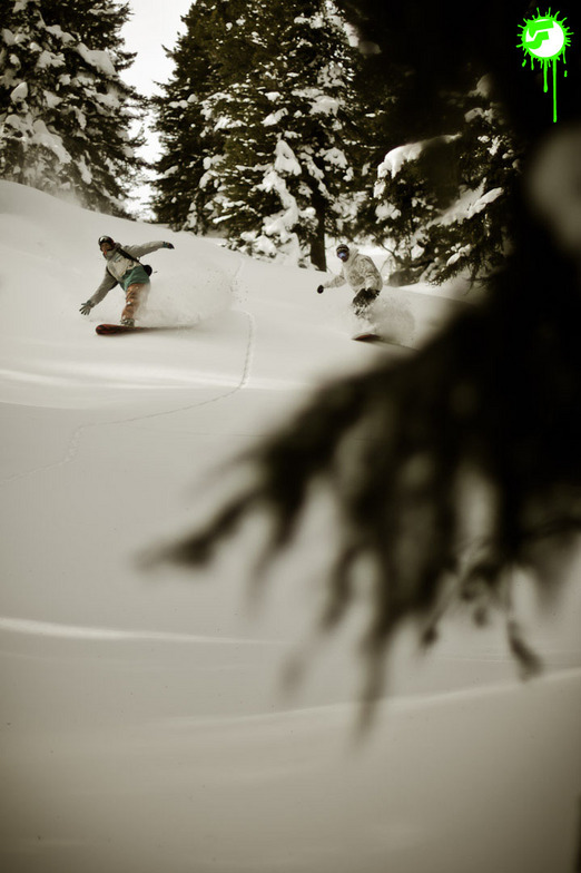 2012-01-17 | PowderRun, Hochzillertal-Kaltenbach