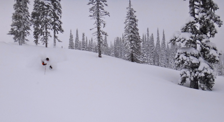 Falling Star, Fernie