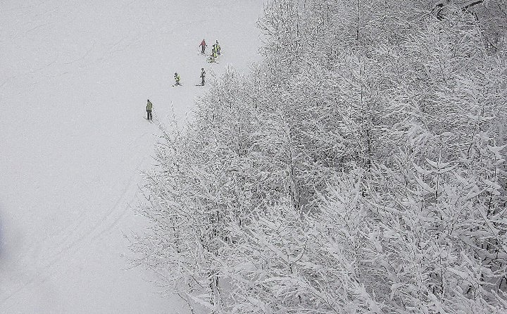 Geyikalanı, Kartepe