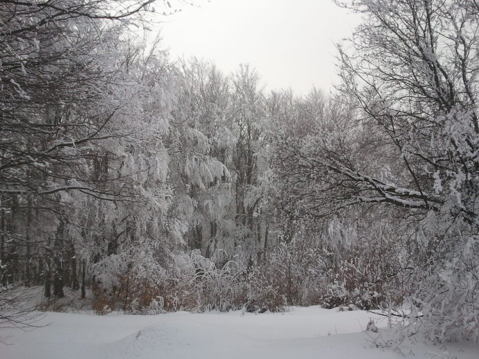 Plenty of snow, Krushevo