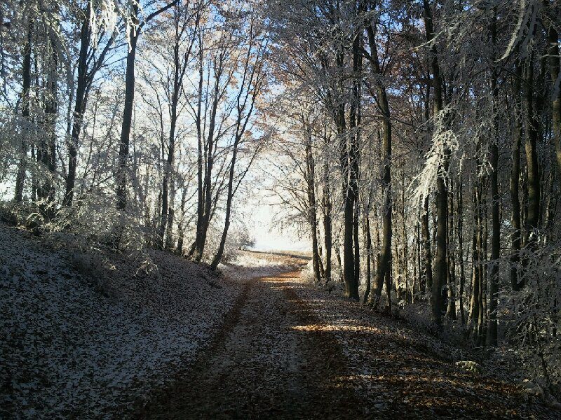 Krushevo