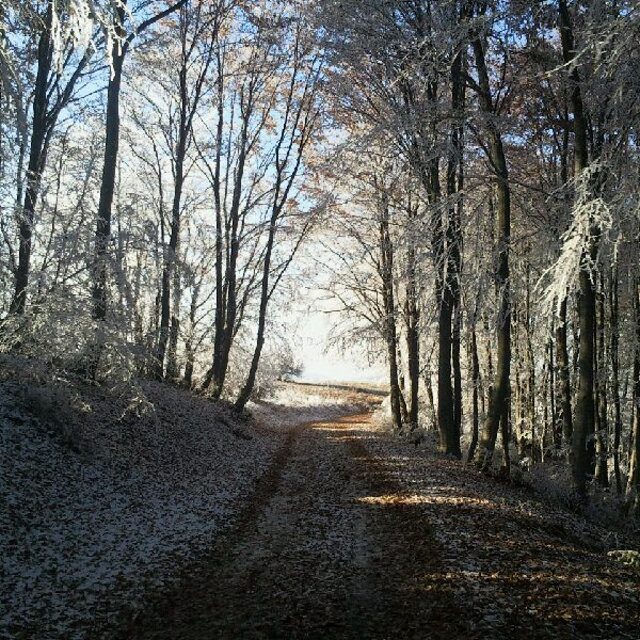 Krushevo Snow