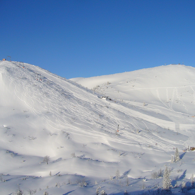 Amazing day riding deep powder with the sun shining on Feuerkogel, Ebensee am Traunsee