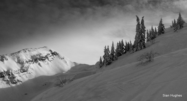 Frozen trees and the Pt Vorlaz, Avoriaz