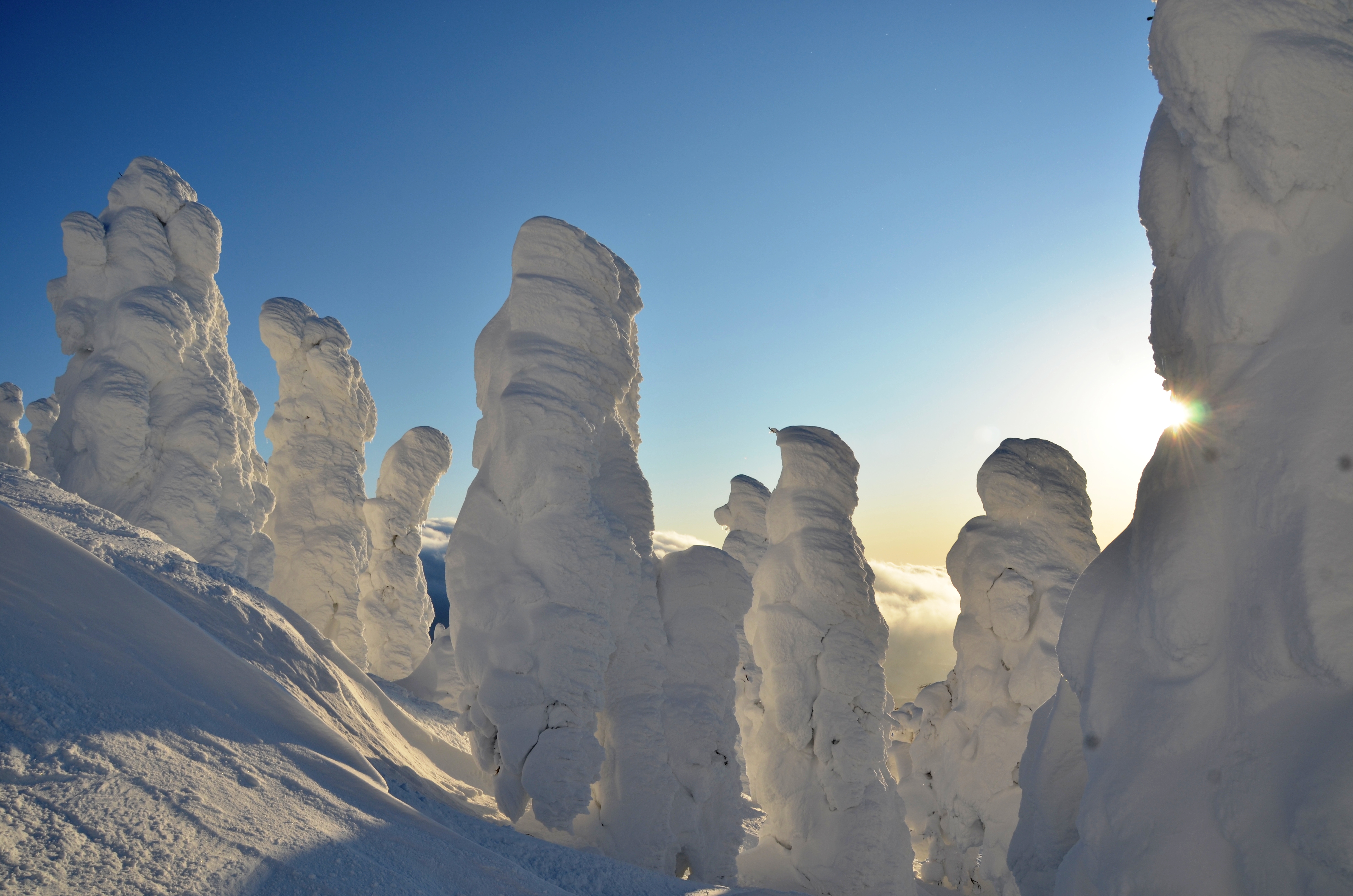 Junyo (Snow Monsters) Hakkoda, Aomori, Japan