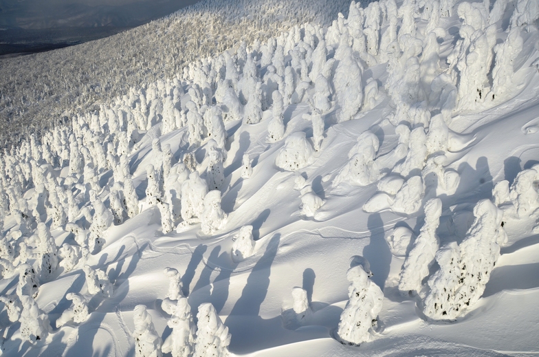 Junyo (Snow Monsters) Hakkoda, Aomori, Japan