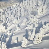 Junyo (Snow Monsters) Hakkoda, Aomori, Japan, Japan - Aomori