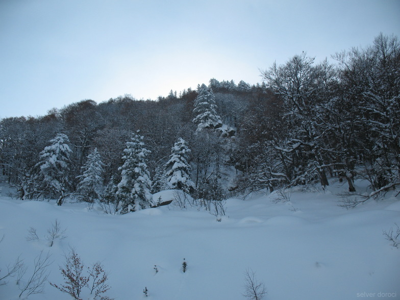 brezovica1