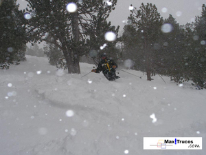 Me freeriding Arcalís Forest, Ordino-Arcalís photo