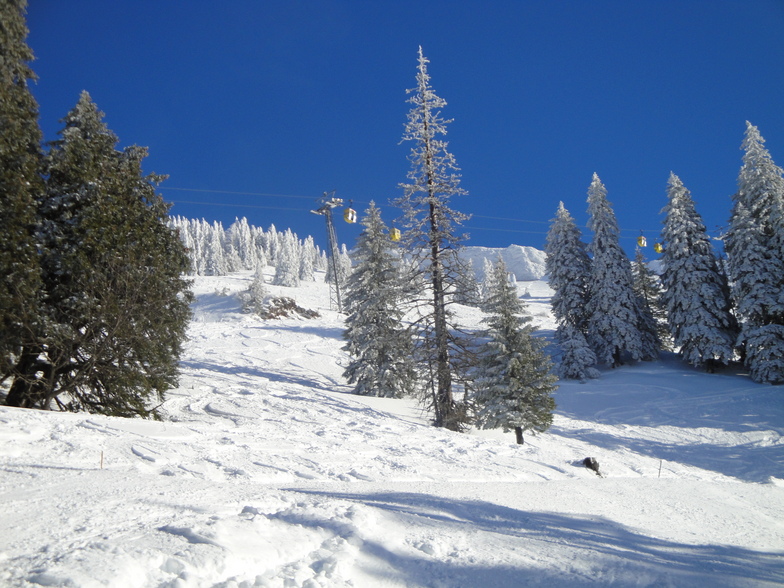 Halfway down the Hochgrat, Oberstaufen/Hochgrat