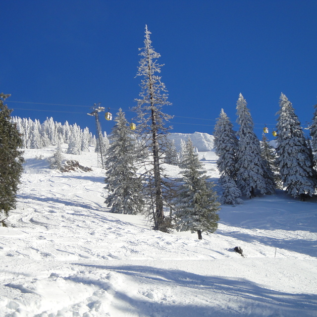 Halfway down the Hochgrat, Oberstaufen/Hochgrat