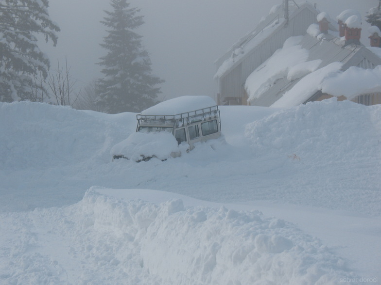 brezovica33