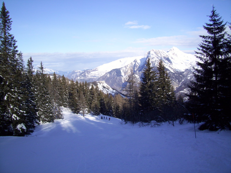 blue piste through the trees., Valloire