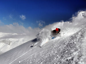 Grosse grinche, Gourette photo