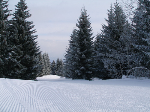 Obersaxen - Mundaun - Val Lumnezia Ski Resort by: Rolf Dittus