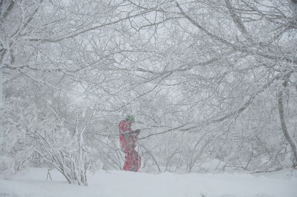 POWDER DAY, Valdezcaray