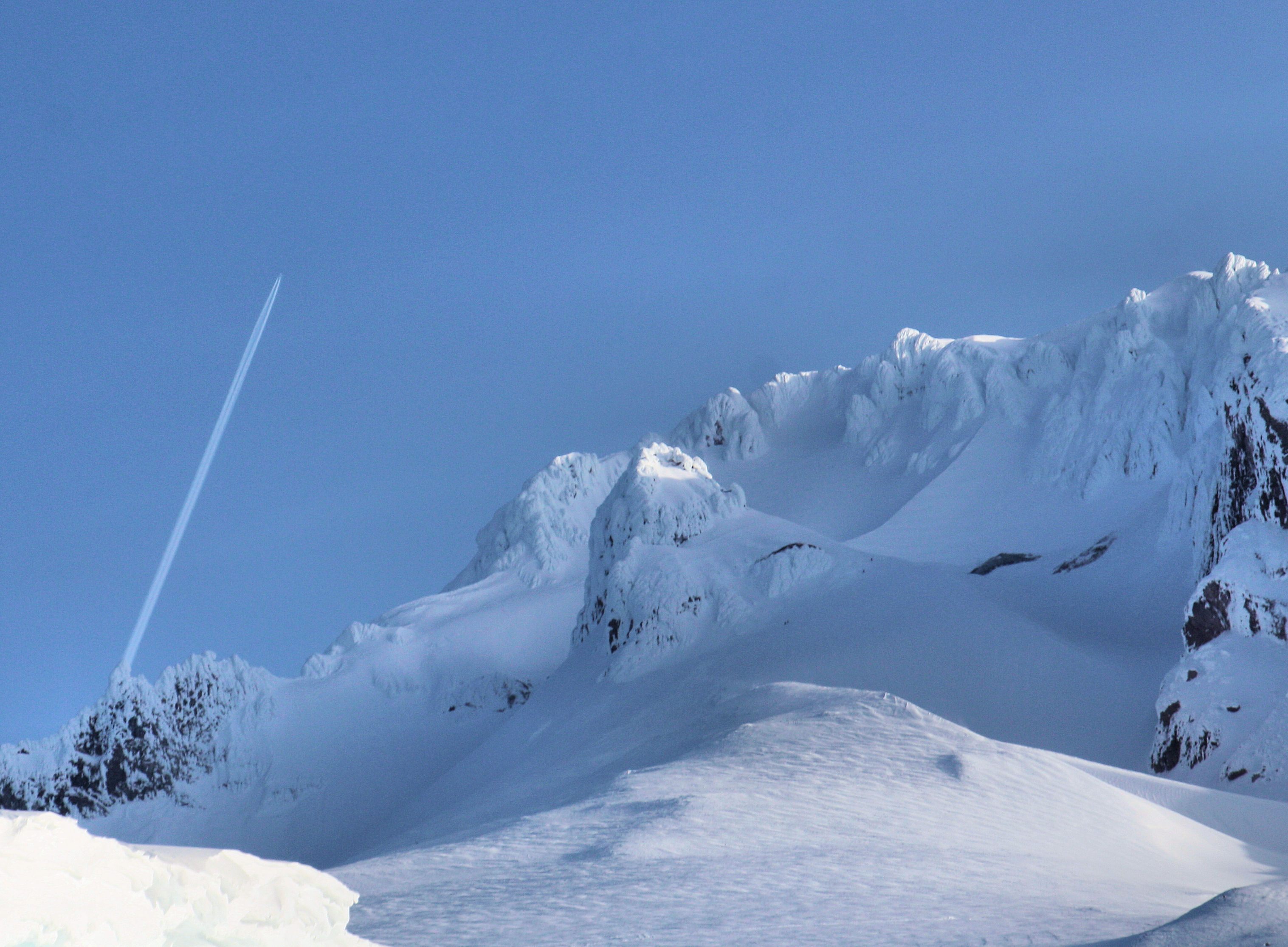 Blue Bird Pow, Timberline