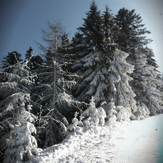 neige vintage, Gérardmer