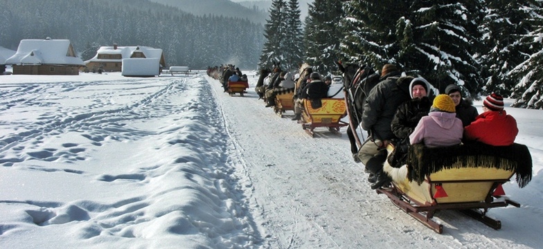 Sleigh ride in Chocholowska Valley (10.02.2012), Zakopane