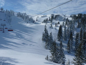 Jahorina freeride arena photo