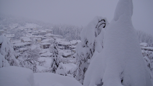 Pertouli Ski Center Ski Resort by: ilias