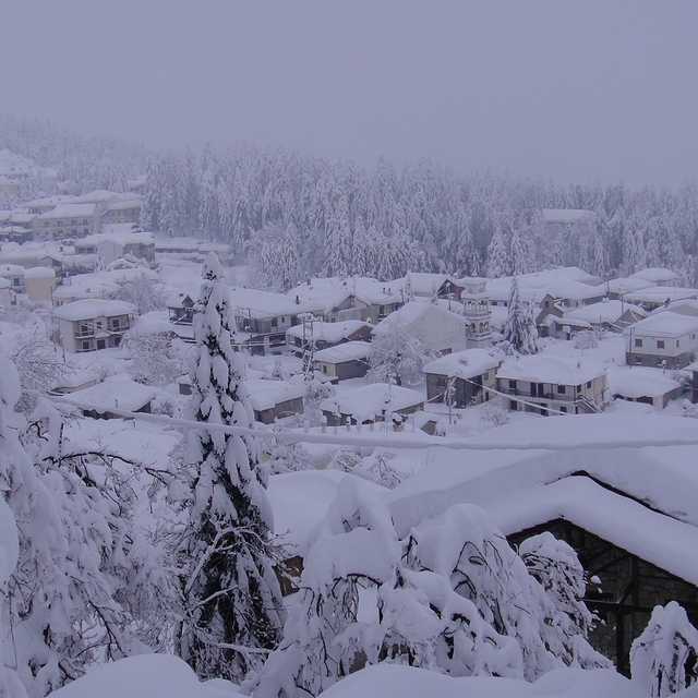 Pertouli Ski Center Snow: elati trikalon 