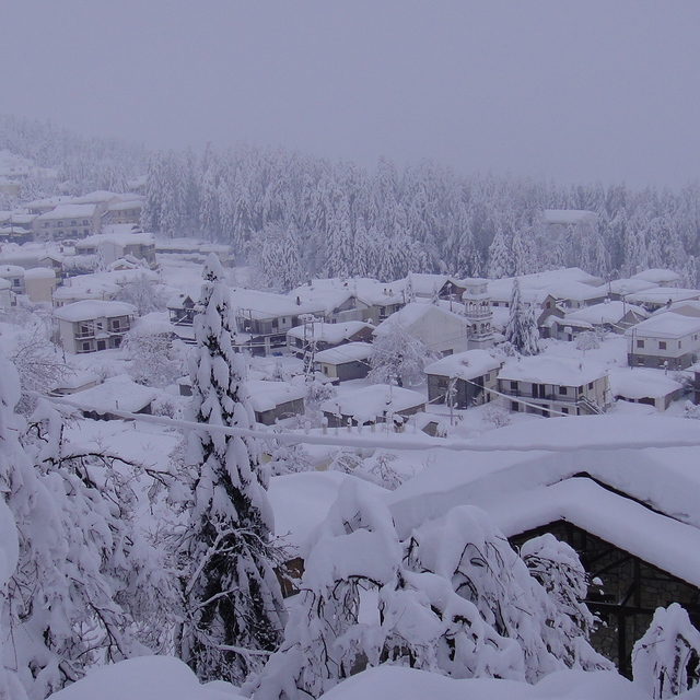 elati trikalon, Pertouli Ski Center