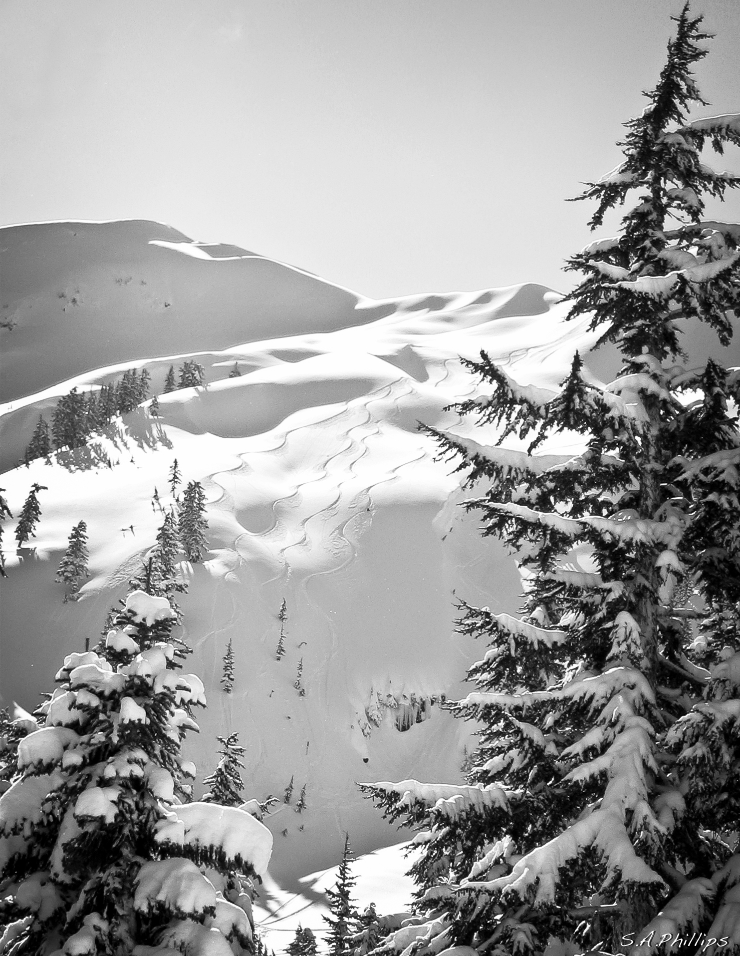 Mt. Baker Freshies, Mount Baker