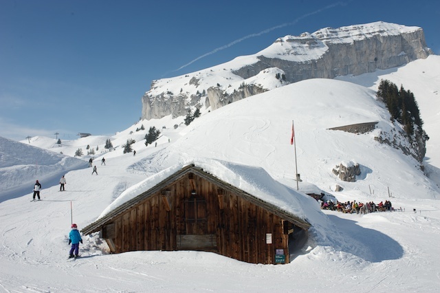 Mayen, Leysin