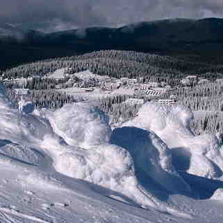 Pogled sa Pancicevog vrha, Kopaonik