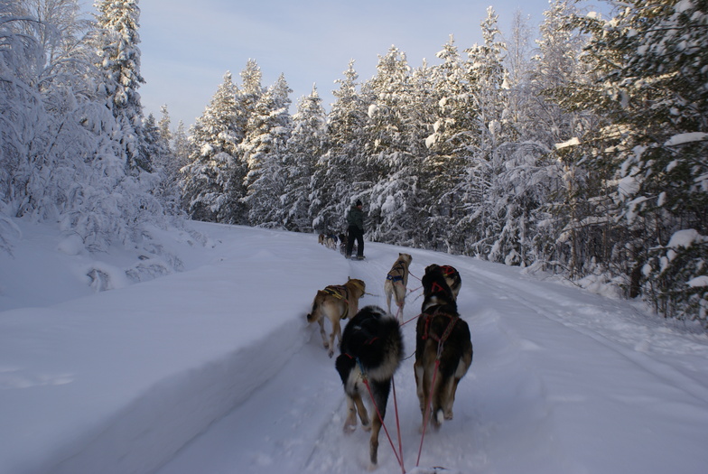 Levi 2012 Husky's