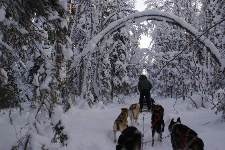 Levi 2012 Husky's