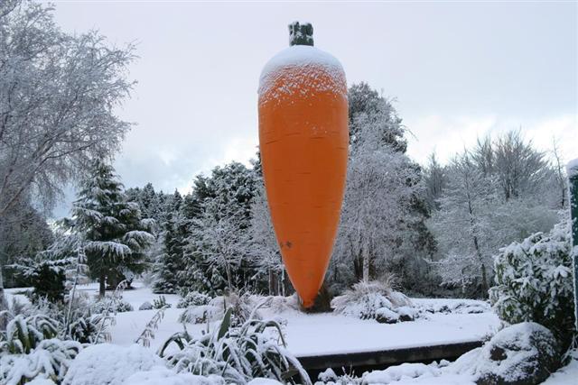 Ohakune's Carrot snowed in (Turoas base)