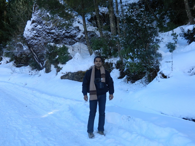 Auli Top