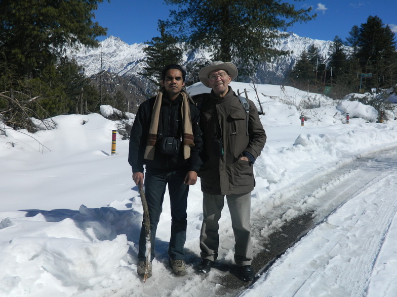 Auli Top