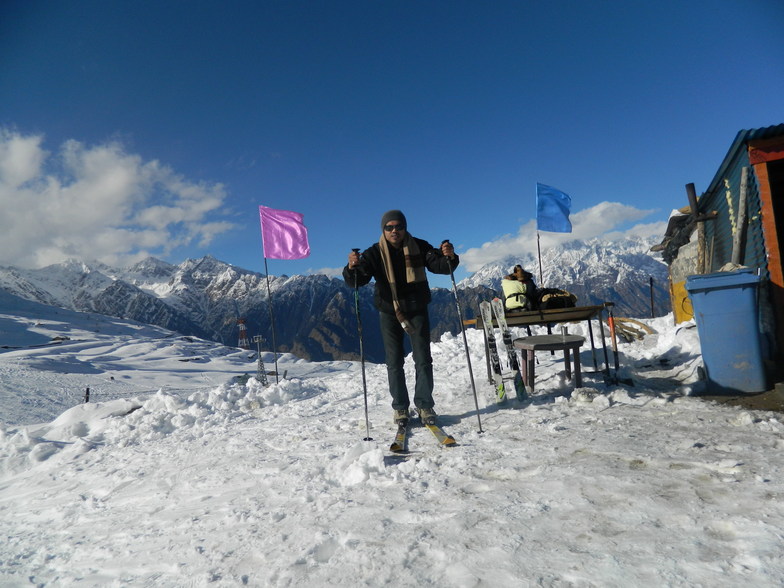 Auli 