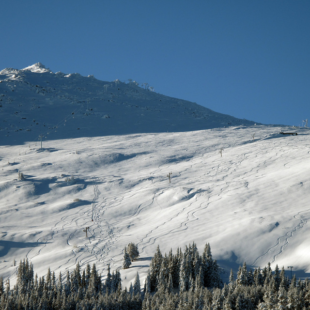 A day to remember, Vitosha