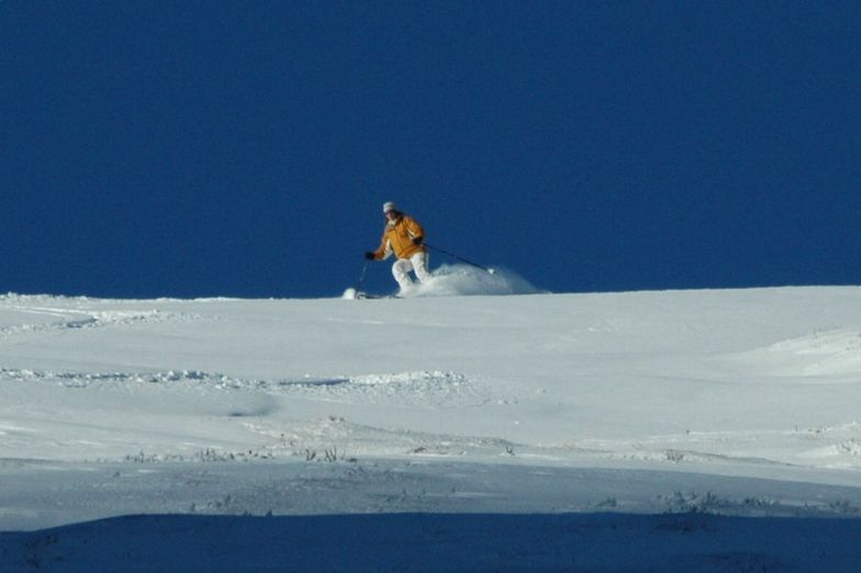 Barbara Idoine Heliskiing Harris Mountains Queenstown