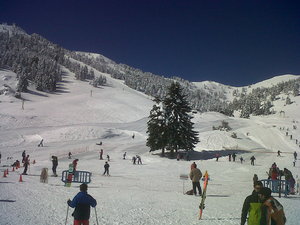 MAINALO 18Feb2012 photo