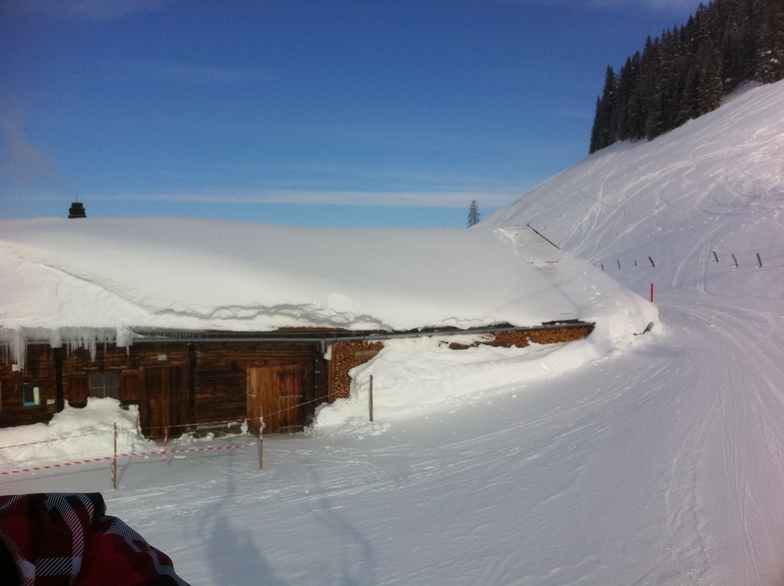 117 RUN WESTENDORF
