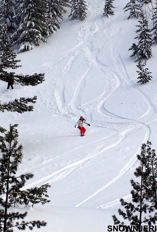 Off-piste Tina, Brezovica