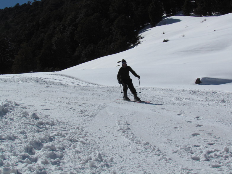 Pamposh Kaushik left turn at auli